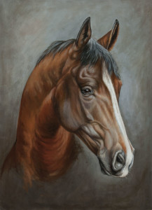 Portrait of a brown horse's head.