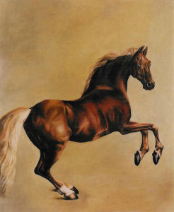 Oil painting copy of Whistlejacket by Stubbs