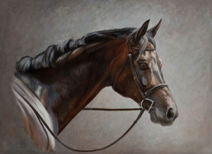 Profile of a horse and bridle against a grey background in raking light.