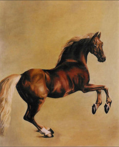 Oil painting copy of Whistlejacket after George Stubbs